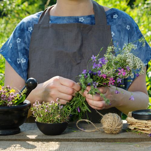 El poder de las plantas y las mujeres