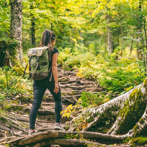 Paseos entre mujeres